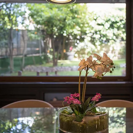 Casa Orchidea Deluxe * Рим